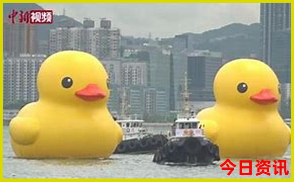 中国夏天凉快的城市
